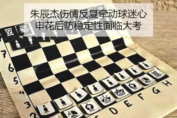 朱辰杰伤情反复牵动球迷心 申花后防稳定性面临大考